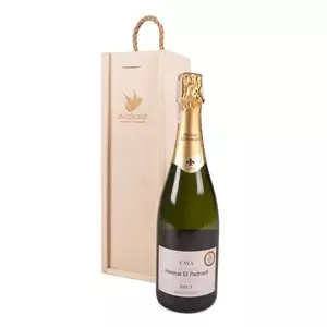 Wino Cava Brut 