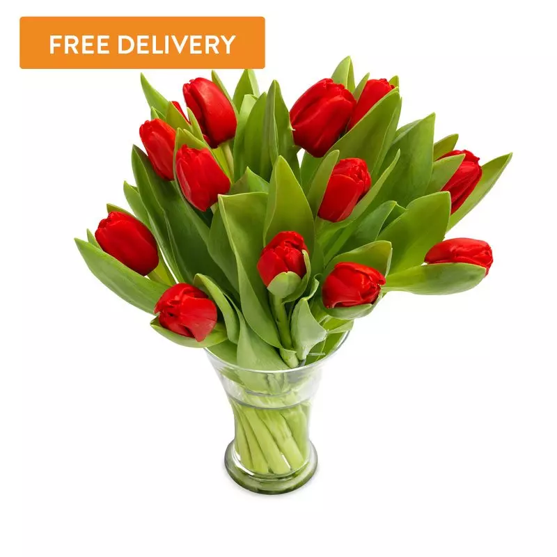 10 Tulipanów Czerwonych
