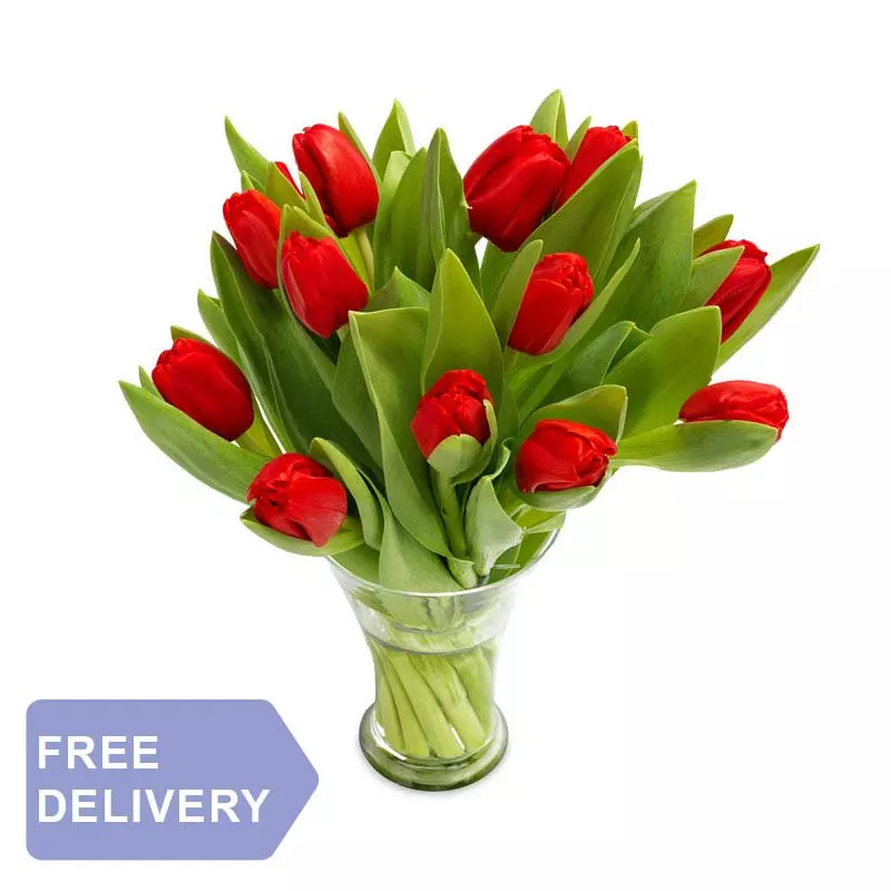 10 Tulipanów Czerwonych
