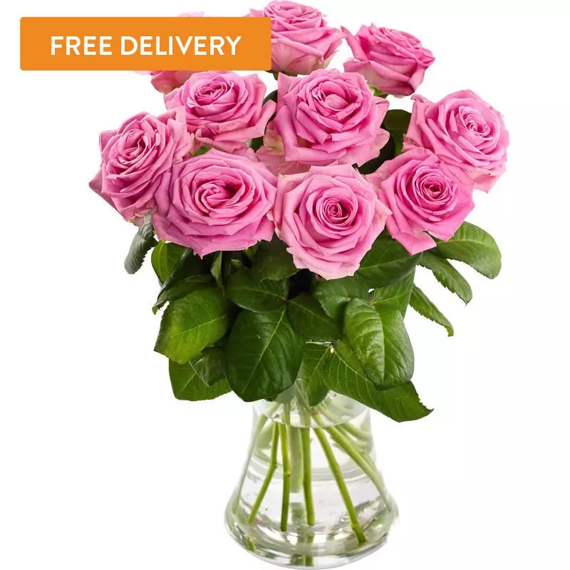 10 Pink Roses