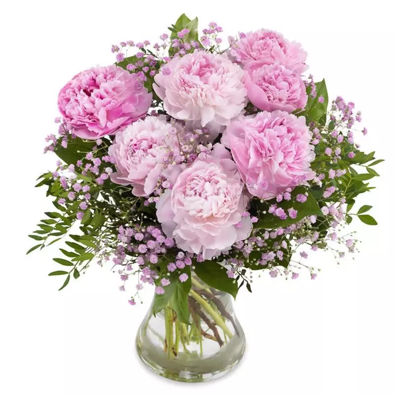 Bukiet Pudrowe peonie 
