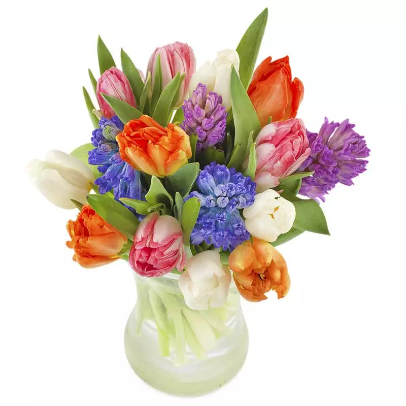 Bukiet Tulipany i hiacynty
