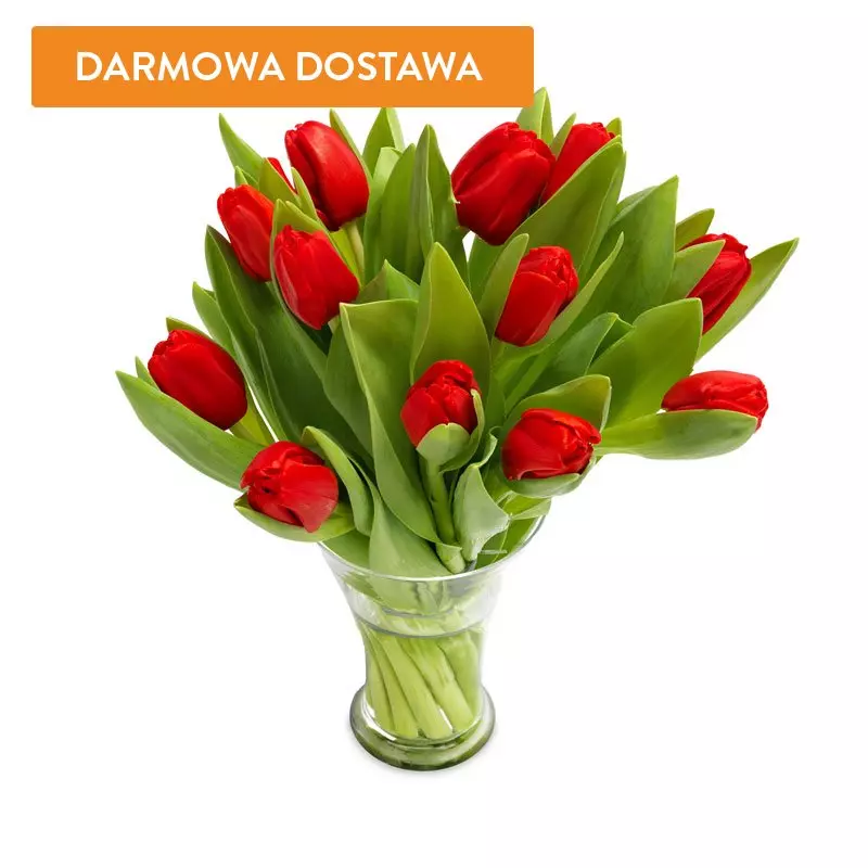10 Tulipanów Czerwonych