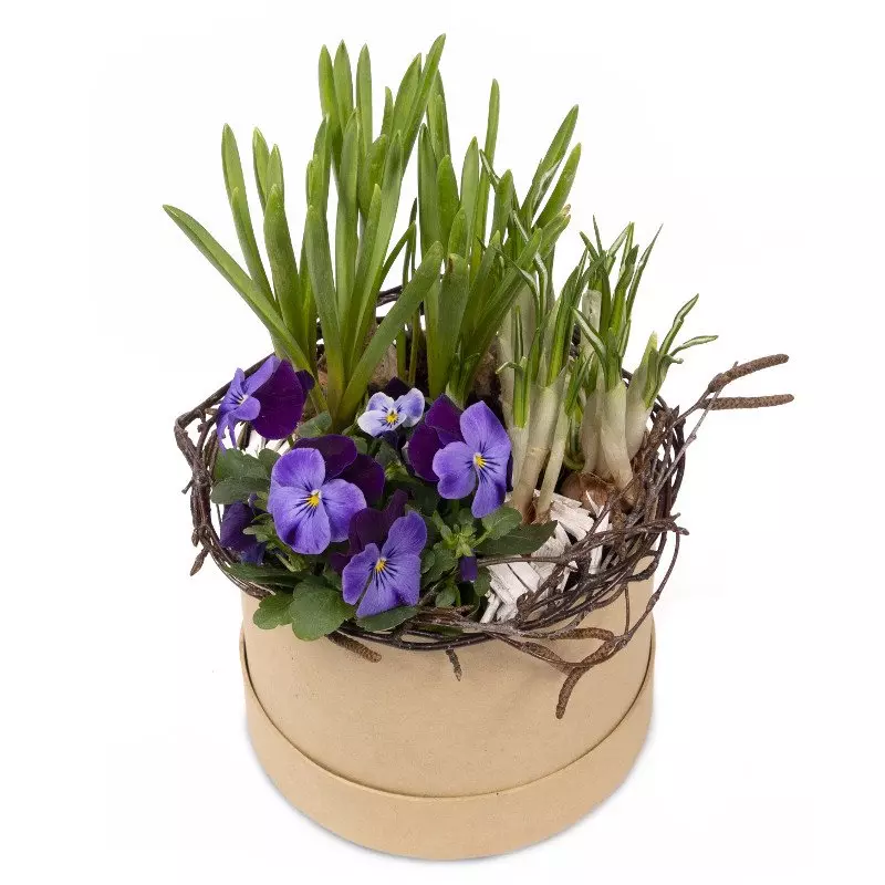 Flower Box Wiosenny 