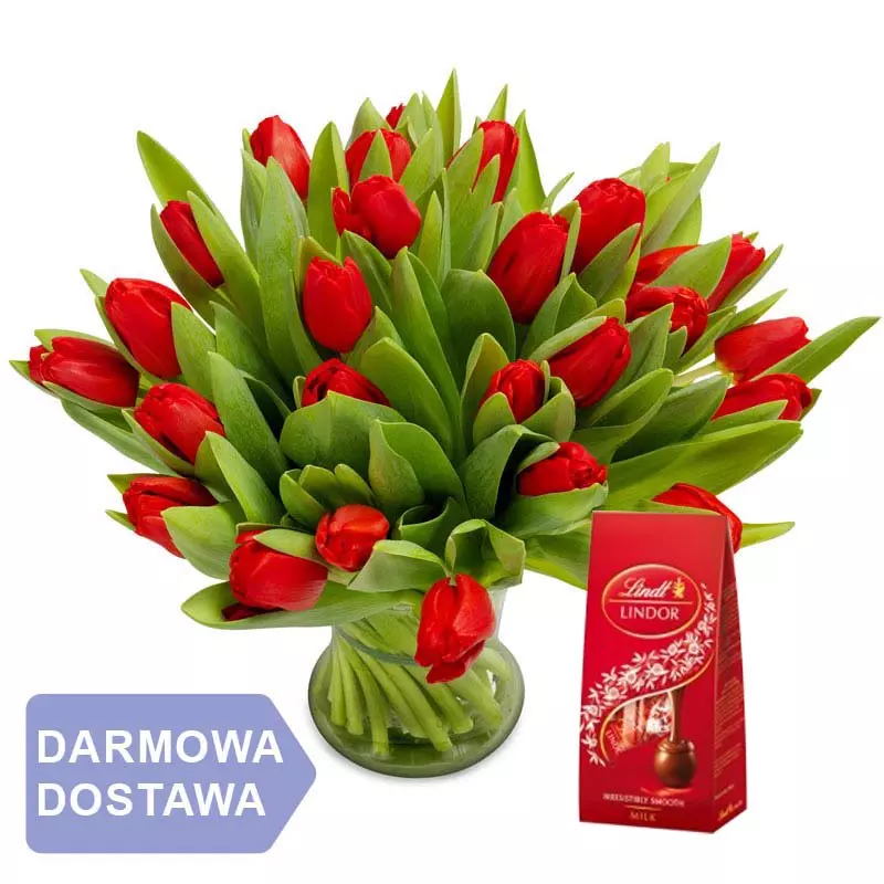 50 Tulipanów Czerwonych z czekoladkami