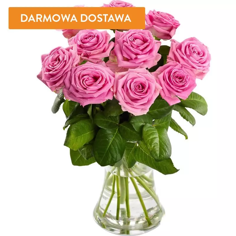 10 Róż Różowych