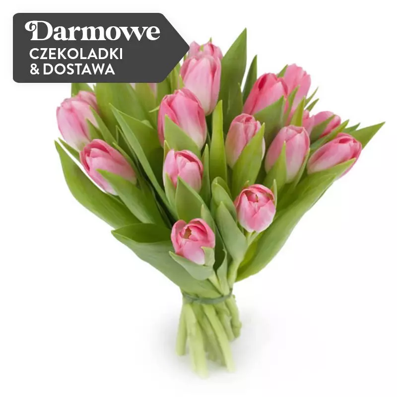 10 Tulipanów Różowych