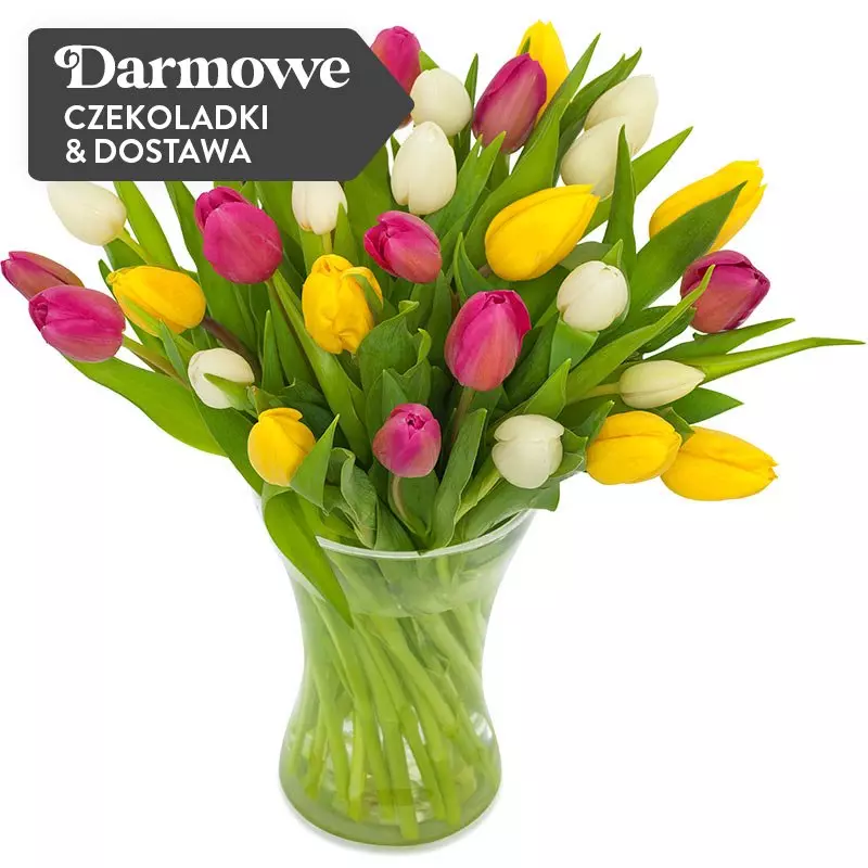 40 Tulipanów Kolorowych 