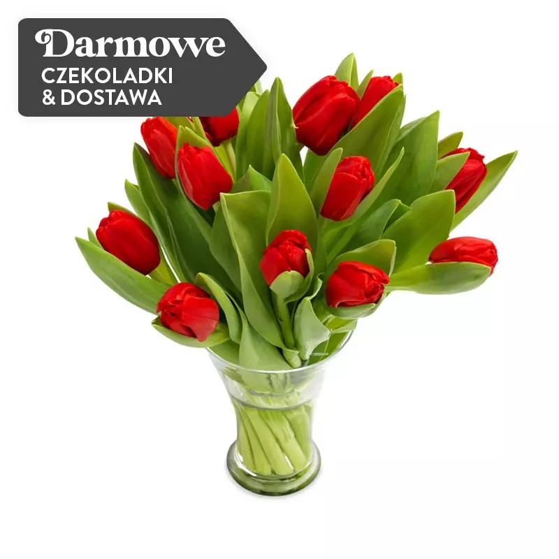 10 Tulipanów Czerwonych