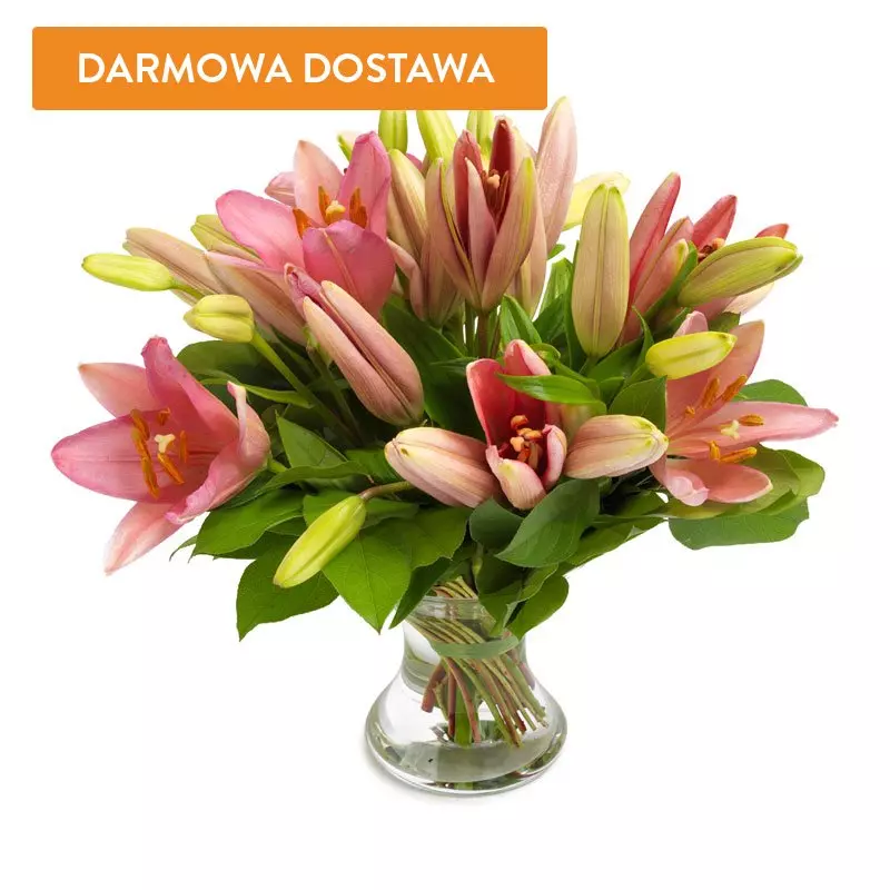 5 Różowych Lilii