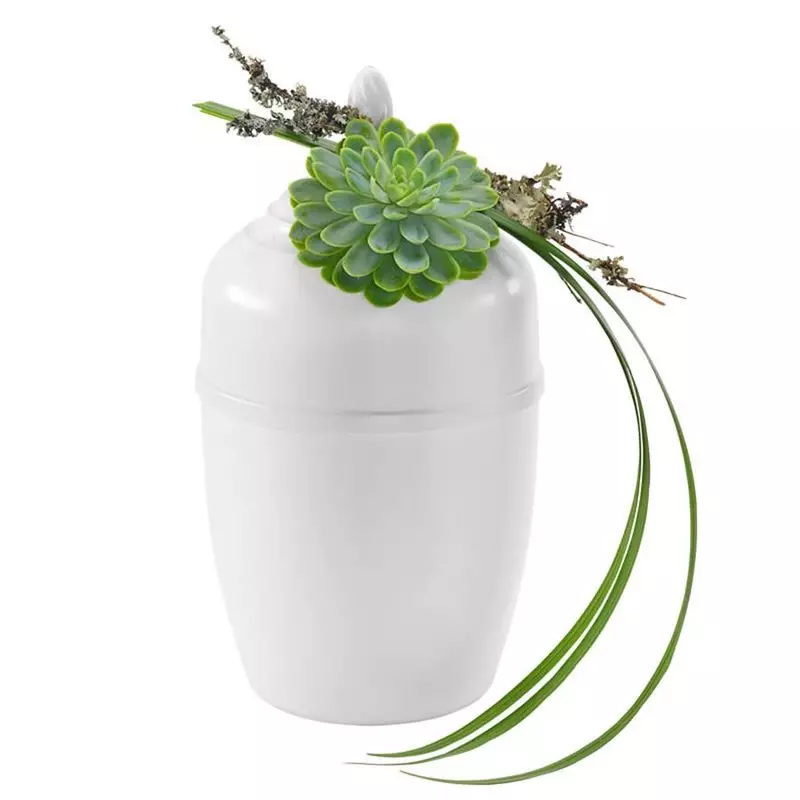 Dekoracja urny Echeveria