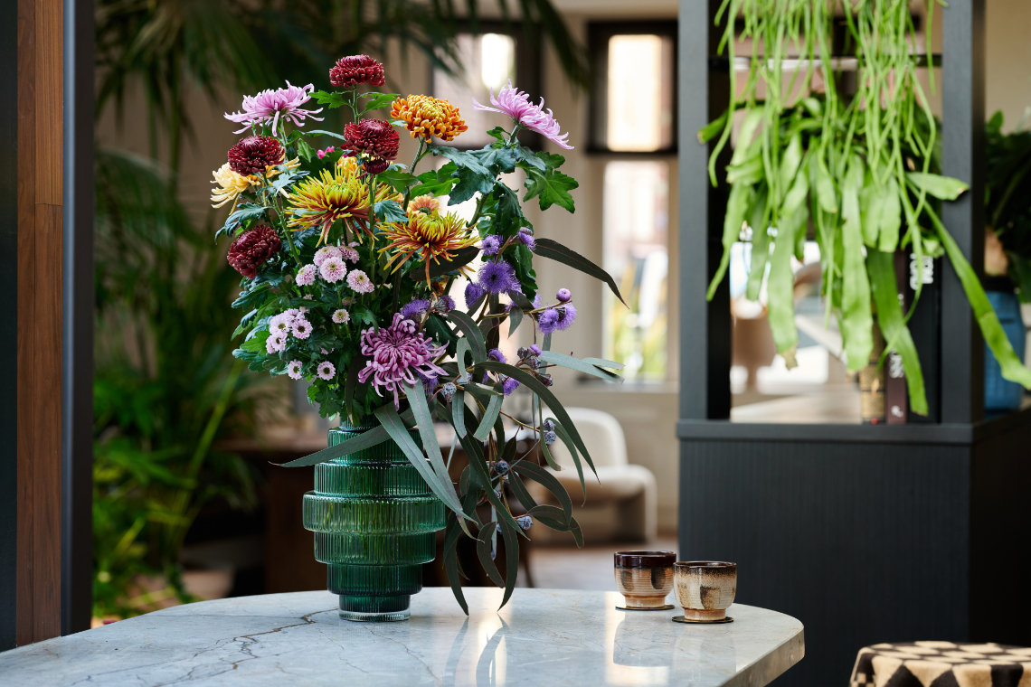 beautiful chrysanthemum varieties