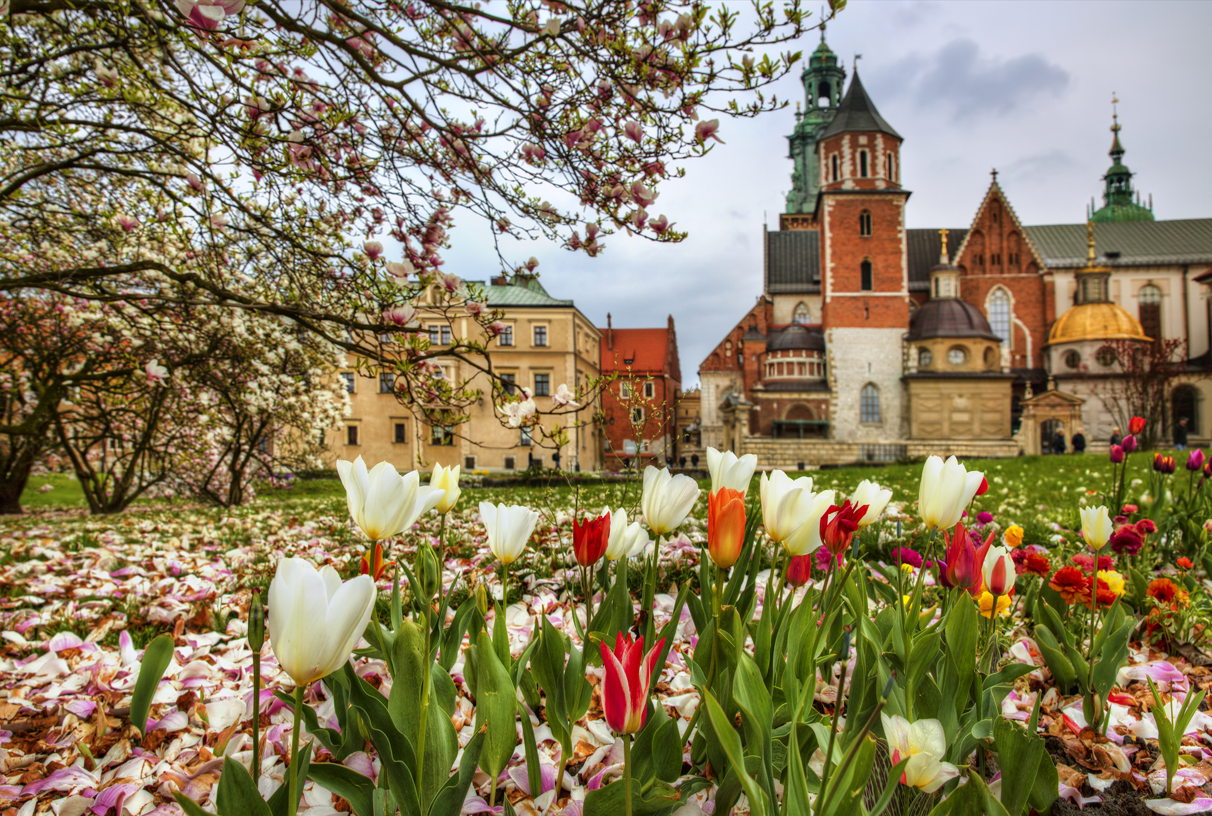 kwiaciarnia w Krakowie