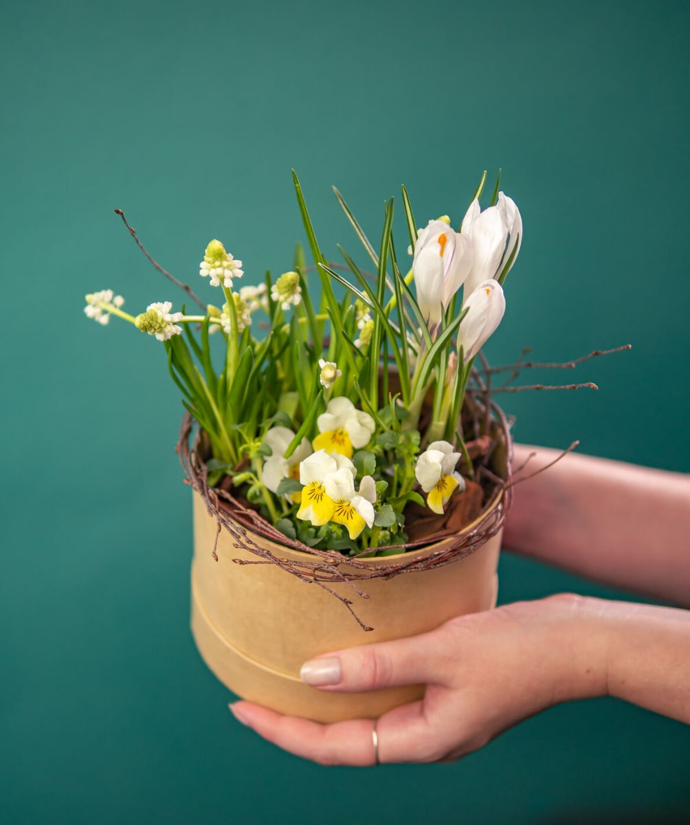 Wiosenne flower boxy